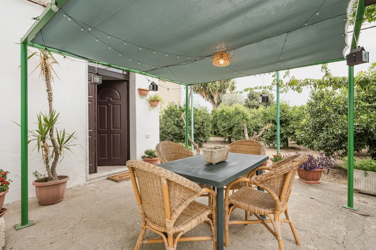 Il patio con la tettoia e l'agrumeto di Casetta Carmelina
